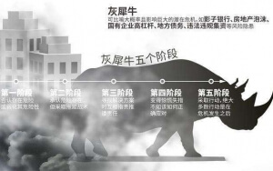 小心，中國產(chǎn)業(yè)園區(qū)的“灰犀牛”又來了！